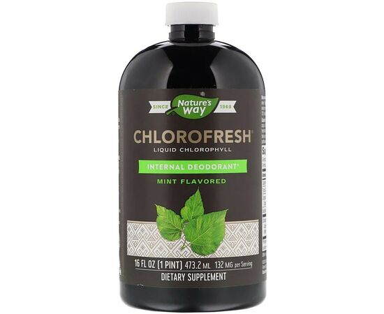Травы Nature's Way Жидкий Хлорофилл, Liquid Chlorophyll, (мятный вкус), 473 мл (NWY03501)