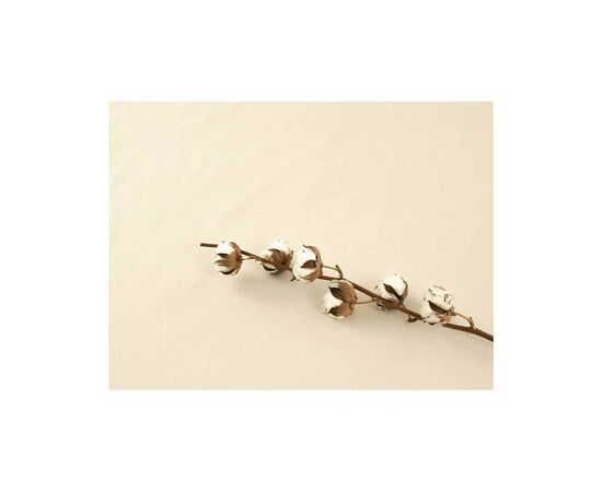 Простынь Руно безь на резинке Beige 160х200 см (500.114У_Beige), изображение 4 Простынь Руно безь на резинке Beige 160х200 см (500.114У_Beige), изображение 4