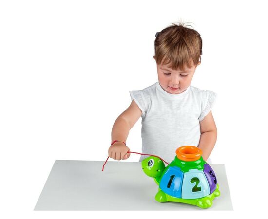 Развивающая игрушка Chicco сортер Черепаха (10622.00), изображение 5 Развивающая игрушка Chicco сортер Черепаха (10622.00), изображение 5