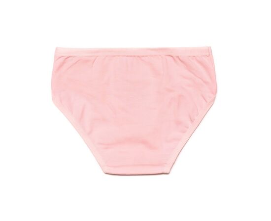 Трусы BiyoKids с зайчиком (1653-128G-pink), изображение 2 Трусы BiyoKids с зайчиком (1653-128G-pink), изображение 2
