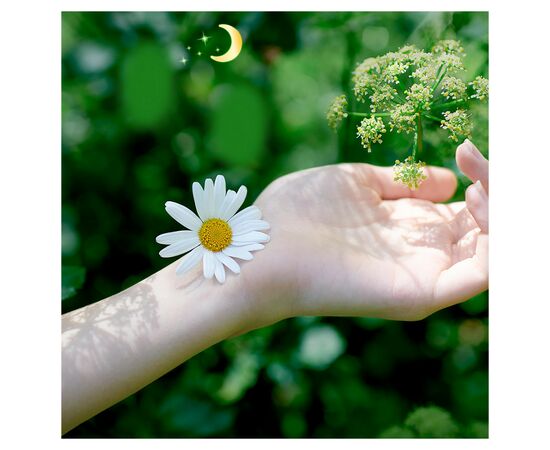 Гігієнічні прокладки Naturella Classic Night 12 шт. (8001841479385), зображення 6 Гігієнічні прокладки Naturella Classic Night 12 шт. (8001841479385), зображення 6