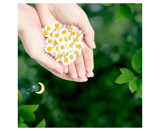 Гігієнічні прокладки Naturella Classic Night 12 шт. (8001841479385), зображення 7 Гігієнічні прокладки Naturella Classic Night 12 шт. (8001841479385), зображення 7