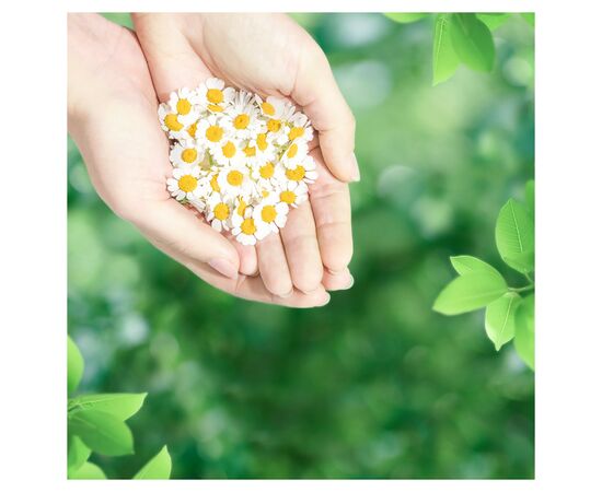 Гигиенические прокладки Naturella Ultra Normal Plus 18 шт. (8006540225691), изображение 6 Гигиенические прокладки Naturella Ultra Normal Plus 18 шт. (8006540225691), изображение 6