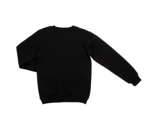 Кофта Blueland флисовая (12312-146B-black), изображение 2 Кофта Blueland флисовая (12312-146B-black), изображение 2