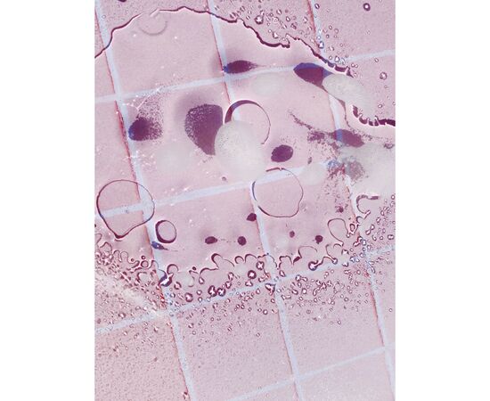 Спрей для чищення ванн Yope Green Tea Natural Bathroom Cleaner 750 мл (5905279370111), зображення 3