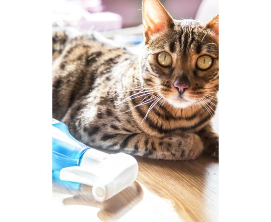 Спрей для чищення ванн Yope Green Tea Natural Bathroom Cleaner 750 мл (5905279370111), зображення 6