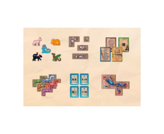 Настольная игра Geekach Games Остров кошек: Еще больше гостей (The Isle of Cats: Kickstarter Pack 2) дополнение, украинский (GKCH047OKP2), изображение 4 Настольная игра Geekach Games Остров кошек: Еще больше гостей (The Isle of Cats: Kickstarter Pack 2) дополнение, украинский (GKCH047OKP2), изображение 4