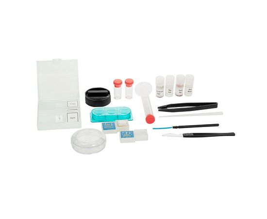 Микроскоп Sigeta Poseidon 100x, 400x, 900x (65902), изображение 4 Микроскоп Sigeta Poseidon 100x, 400x, 900x (65902), изображение 4