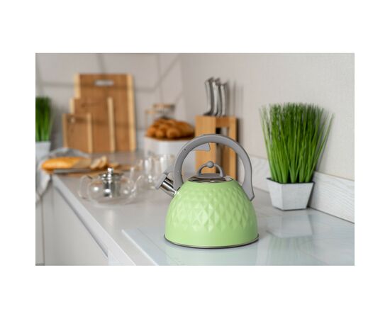 Чайник Ardesto Gemini 2.5 л Green (AR1947KG), изображение 2 Чайник Ardesto Gemini 2.5 л Green (AR1947KG), изображение 2