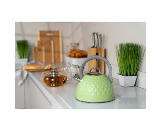 Чайник Ardesto Gemini 2.5 л Green (AR1947KG), изображение 5 Чайник Ardesto Gemini 2.5 л Green (AR1947KG), изображение 5