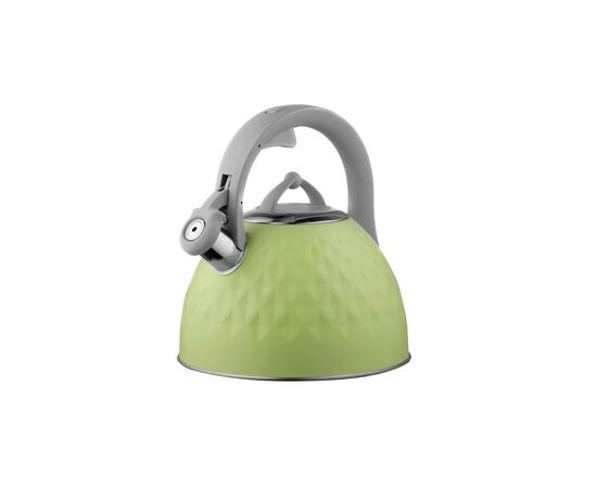 Чайник Ardesto Gemini 2.5 л Green (AR1947KG)