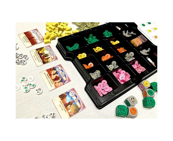 Настольная игра Rio Grande Games Dice Realms (Королевство Кубиков) англ. (655132005630), изображение 2 Настольная игра Rio Grande Games Dice Realms (Королевство Кубиков) англ. (655132005630), изображение 2