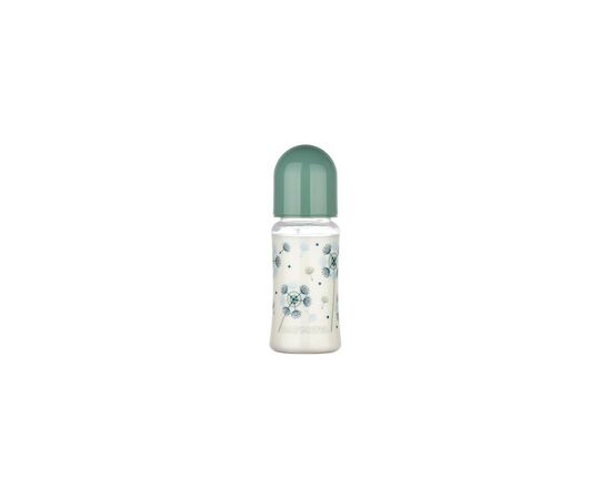 Бутылочка для кормления Baby-Nova пластиковая Decor Green 300 мл (3966382)