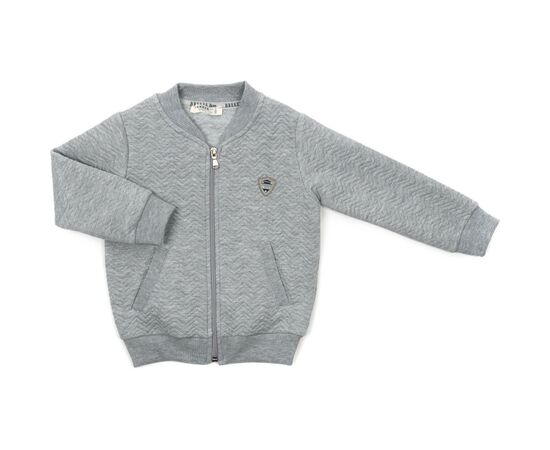 Кофта Breeze на блискавці (18292-110B-gray)