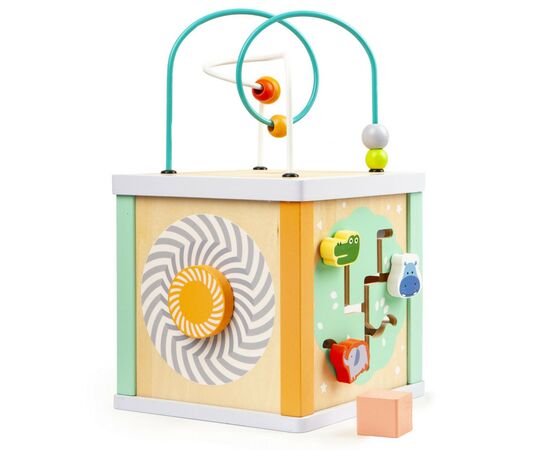 Развивающая игрушка Ecotoys Деревянный бизикуб (1031)
