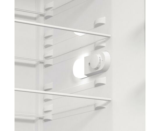 Холодильник Gorenje R619FES5, изображение 8 Холодильник Gorenje R619FES5, изображение 8