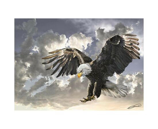 Пазл ART PUZZLE Черно-белый (Белоголовый орлан), 500 элементов (4167), изображение 2 Пазл ART PUZZLE Черно-белый (Белоголовый орлан), 500 элементов (4167), изображение 2