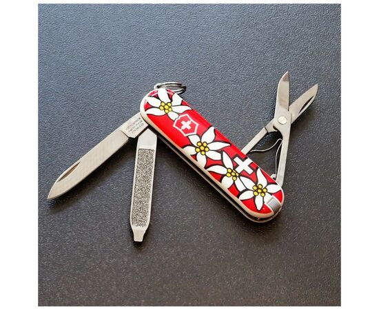 Нож Victorinox Classic SD Edelweiss (0.6223.840), изображение 4