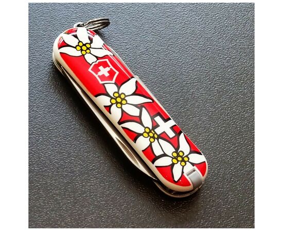 Нож Victorinox Classic SD Edelweiss (0.6223.840), изображение 5