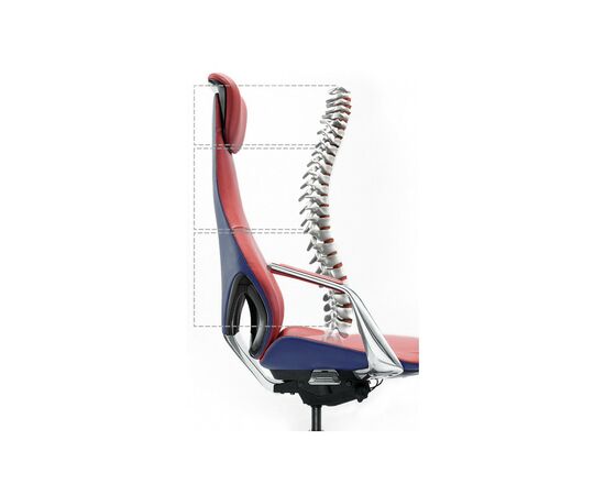 Офисное кресло GT Racer X-808 Red/Blue (X-808 Red/Blue (ZP-02, ZP-09)), изображение 5 Офисное кресло GT Racer X-808 Red/Blue (X-808 Red/Blue (ZP-02, ZP-09)), изображение 5