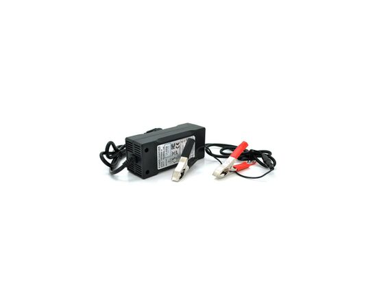 Мережевий зарядний пристрій для АКБ Merlion 12V(14,6V)-5A-60W