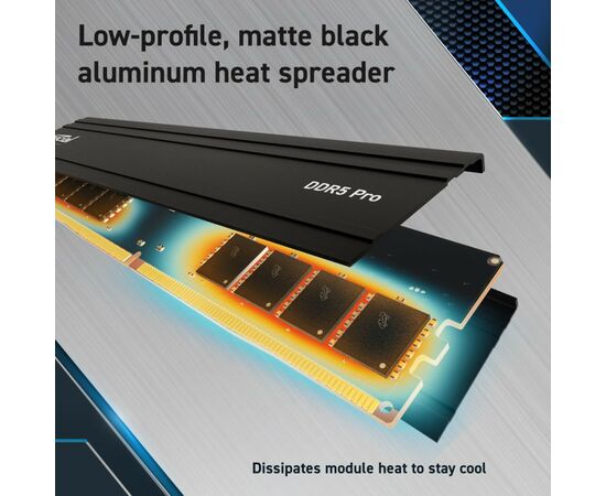 Модуль памяти для компьютера DDR5 32GB (2x16GB) 5600 MHz Pro Micron (CP2K16G56C46U5), изображение 2 Модуль памяти для компьютера DDR5 32GB (2x16GB) 5600 MHz Pro Micron (CP2K16G56C46U5), изображение 2