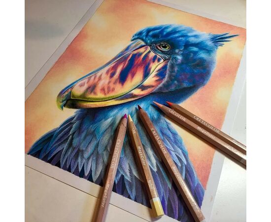 Карандаши цветные Cretacolor Megacolor 36 цветов (9014400290894), изображение 5 Карандаши цветные Cretacolor Megacolor 36 цветов (9014400290894), изображение 5