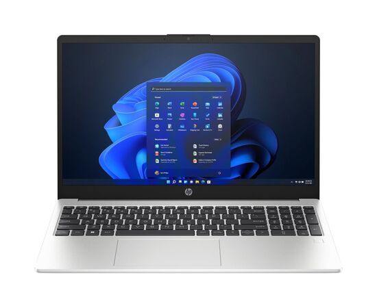 Ноутбук HP 250 G10 (8D4M7ES)