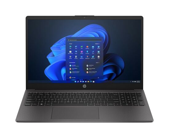 Ноутбук HP 255 G10 (8D4N0ES)