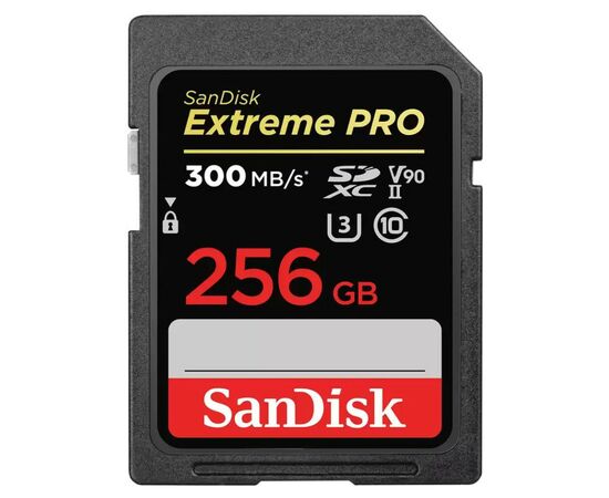 Карта памяти SanDisk 256GB SD class 10 UHS-I U3 V30 Extreme PRO (SDSDXDK-256G-GN4IN)