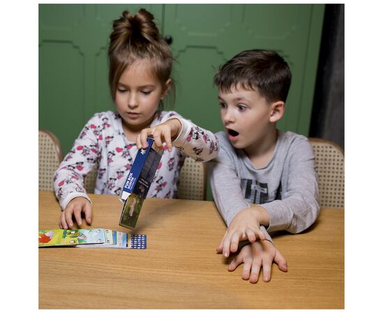 Настольная игра JoyBand FunBox Кукушка (FB0001), изображение 4 Настольная игра JoyBand FunBox Кукушка (FB0001), изображение 4