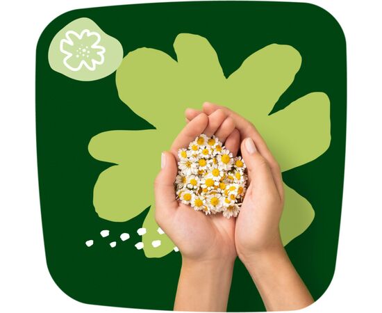 Гігієнічні прокладки Naturella Classic Night 14 шт (4015400437932), зображення 7 Гігієнічні прокладки Naturella Classic Night 14 шт (4015400437932), зображення 7