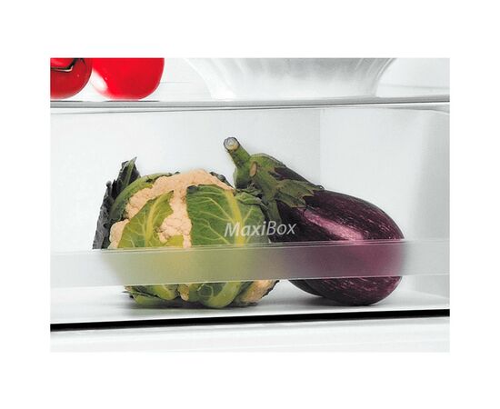 Холодильник Indesit LI7SN1EW, изображение 4 Холодильник Indesit LI7SN1EW, изображение 4