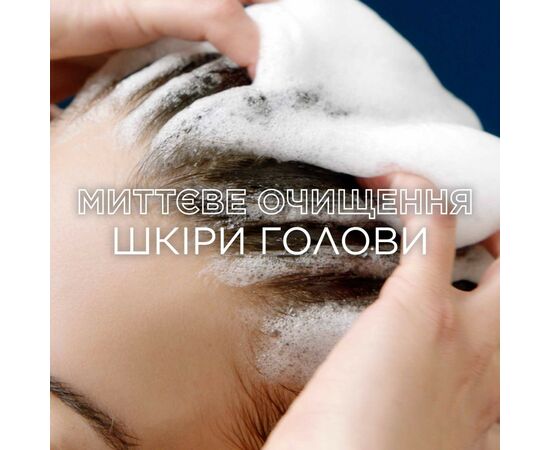 Шампунь Garnier Botanic Therapy Магнетический уголь 250 мл (3600542512510), изображение 6 Шампунь Garnier Botanic Therapy Магнетический уголь 250 мл (3600542512510), изображение 6