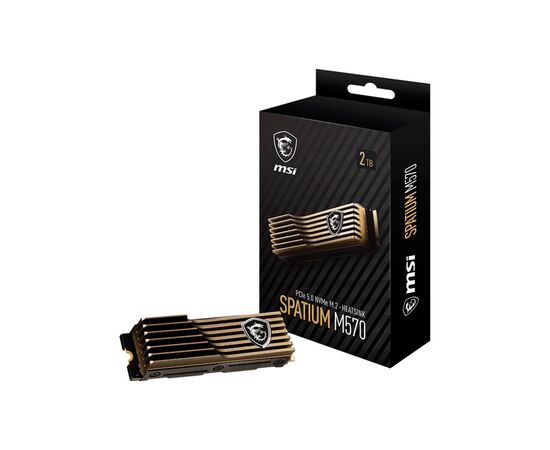 Накопитель SSD M.2 2280 2TB M570 HS MSI (S78-440Q560-P83), изображение 5