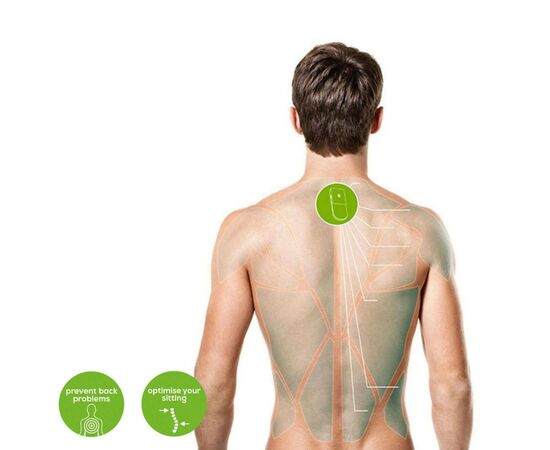 Масажер Beurer PC_100, зображення 6 Масажер Beurer PC_100, зображення 6