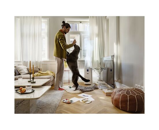 Воздухоочиститель Karcher 1.024-822.0, изображение 5 Воздухоочиститель Karcher 1.024-822.0, изображение 5