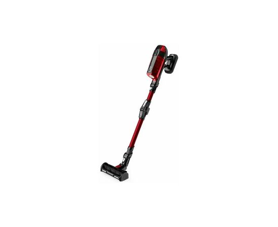 Пылесос Rowenta RH98A9WO, изображение 2 Пылесос Rowenta RH98A9WO, изображение 2
