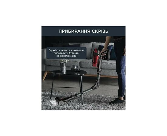 Пылесос Rowenta RH98A9WO, изображение 6 Пылесос Rowenta RH98A9WO, изображение 6