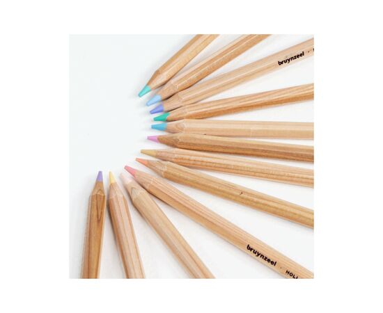Карандаши цветные Bruynzeel EXPRESSION PASTEL, 12 цветов (8712079468415), изображение 5 Карандаши цветные Bruynzeel EXPRESSION PASTEL, 12 цветов (8712079468415), изображение 5