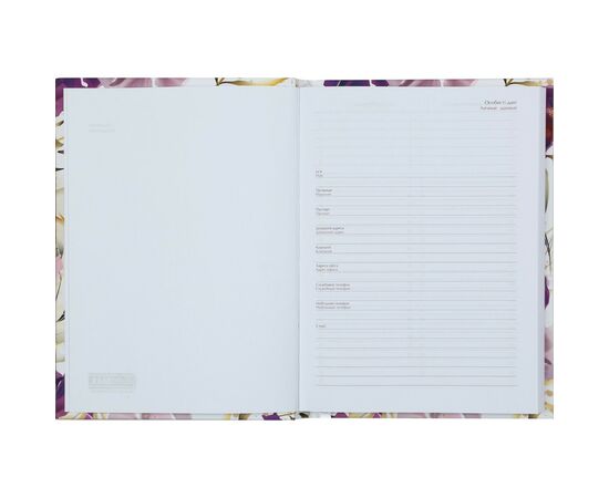 Еженедельник Buromax недатированный Pretty, А5, голубой 288 страниц (BM.2034-14), изображение 2 Еженедельник Buromax недатированный Pretty, А5, голубой 288 страниц (BM.2034-14), изображение 2