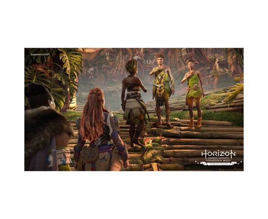 Игра Sony Horizon Forbidden West Complete Edition, BD диск (1000040790), изображение 10 Игра Sony Horizon Forbidden West Complete Edition, BD диск (1000040790), изображение 10