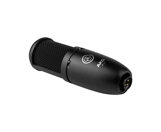 Микрофон AKG P120 Black (3101H00400), изображение 2 Микрофон AKG P120 Black (3101H00400), изображение 2