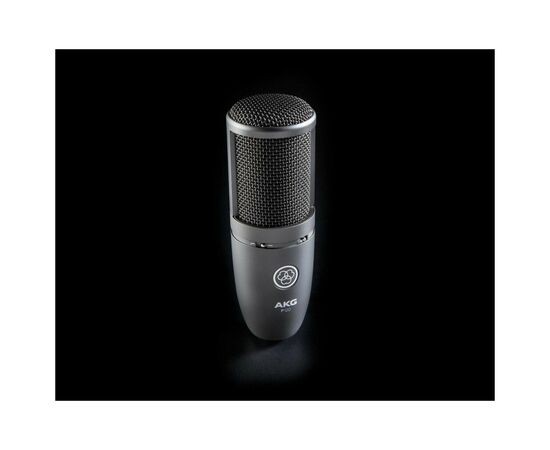 Микрофон AKG P120 Black (3101H00400), изображение 8 Микрофон AKG P120 Black (3101H00400), изображение 8