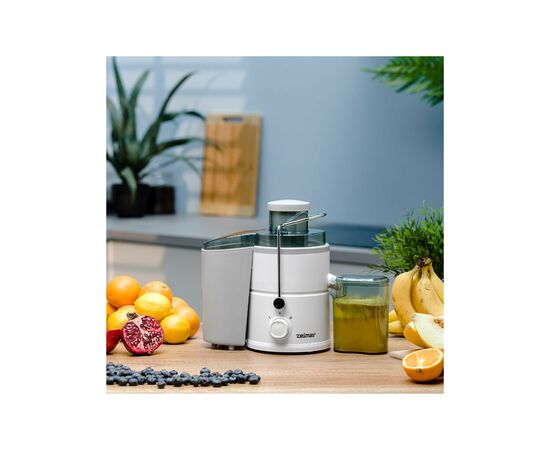Соковыжималка Zelmer ZJE3800, изображение 6 Соковыжималка Zelmer ZJE3800, изображение 6