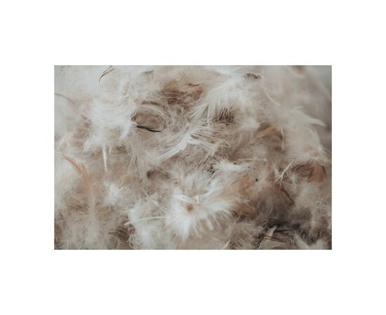 Подушка MirSon пуховая Extra 108 упругая 40x60 см (2200000017932), изображение 8 Подушка MirSon пуховая Extra 108 упругая 40x60 см (2200000017932), изображение 8