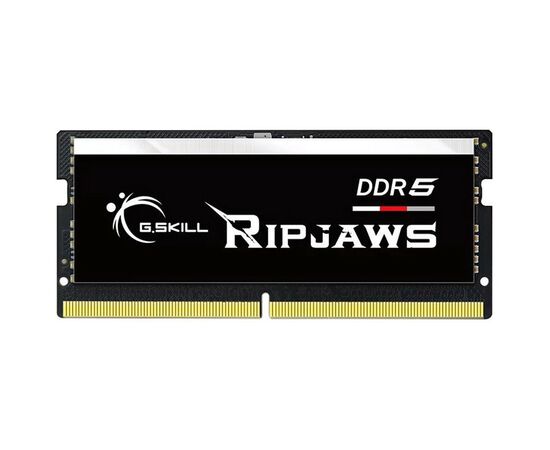 Модуль пам'яті для ноутбука SoDIMM DDR5 16GB 4800 MHz Ripjaws G.Skill (F5-4800S3838A16GX1-RS)