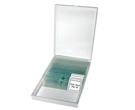 Микроскоп Bresser Erudit Basic Bino 40x-400x (922746), изображение 3 Микроскоп Bresser Erudit Basic Bino 40x-400x (922746), изображение 3