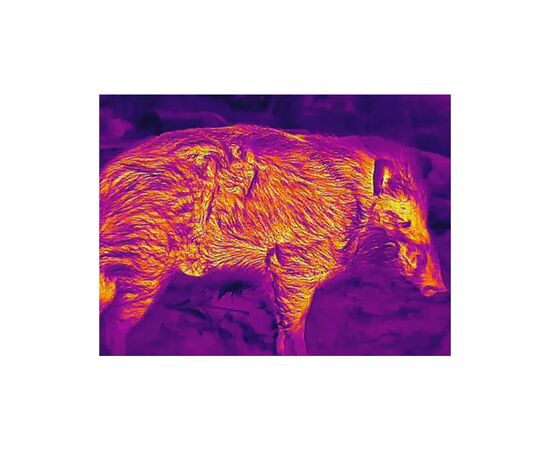 Тепловізійний приціл Guide TU451 Gen2 3,8-15,2x50 400x300@12μm VOx 1400 м (TU451), зображення 8