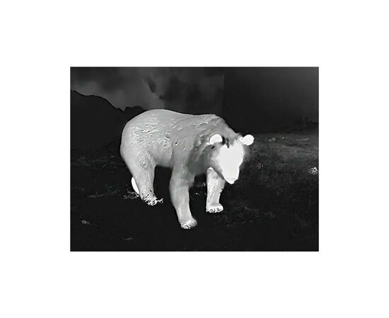 Тепловізійний приціл Guide TU451 Gen2 3,8-15,2x50 400x300@12μm VOx 1400 м (TU451), зображення 9